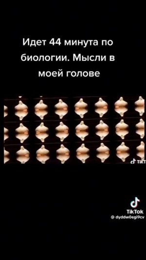 1000000247.mp4