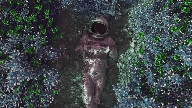 Видео-Гимн Университета Осознанности АЛЬЦИОНА