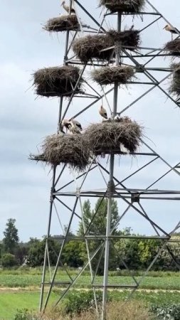 Многоэтажка