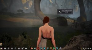 BDO