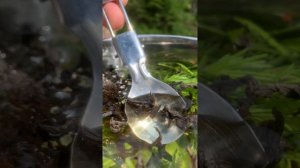 Чайная церемония каждого Карельского рыбака