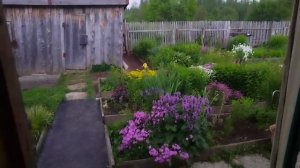 На даче весь день до вечера.