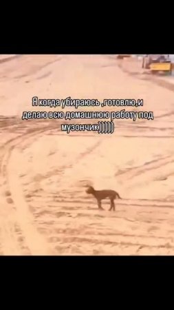 Позитивчик)