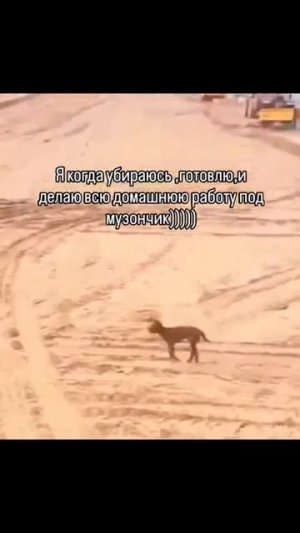 Позитивчик)