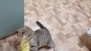 счастливая жизнь в деревне