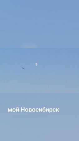 топчик музыка