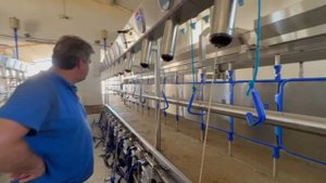 Доильный зал для овец Параллель Sylco Hellas (Греция) на ферме в 5000 овец.