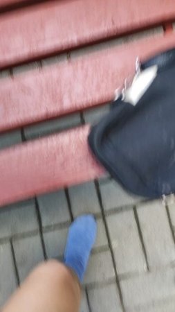 #тренды