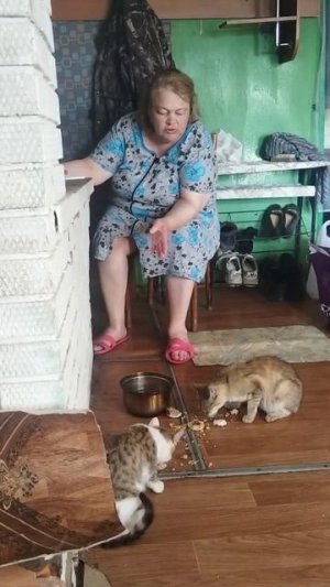 Деревенские коты🤔
