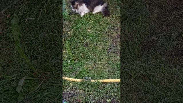 Бакс охотник!!!