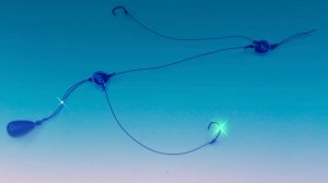 Идеи для рыбалки — потрясающие и полезные 🐠🐋🐟