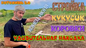 Конец июня. Стройка, Кукусик, коровки и удивительная находка
