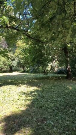 В парке летом
