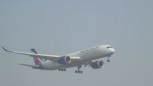 Посадка Самолёта Airbus A 350-900 Аэрофлот В Аэропорт Шереметьево