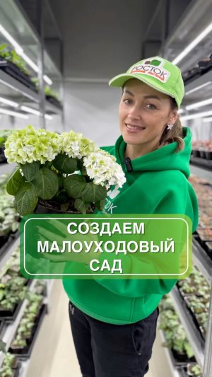 🌿 Как организовать участок так, чтобы ничего на нем не делать? 🌿