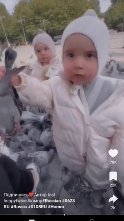 #бедный голубь