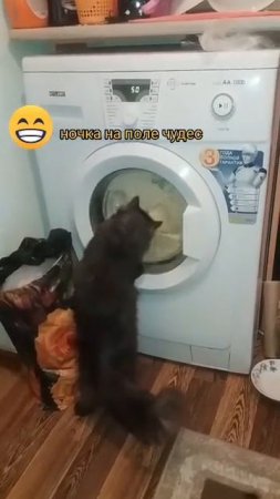1000040080.mp4