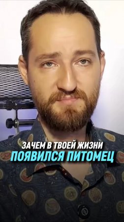 Зачем в твоей жизни появился питомец | Антон Михайлов