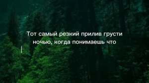 Статусы и цитаты 10