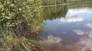 Выходной интроверта