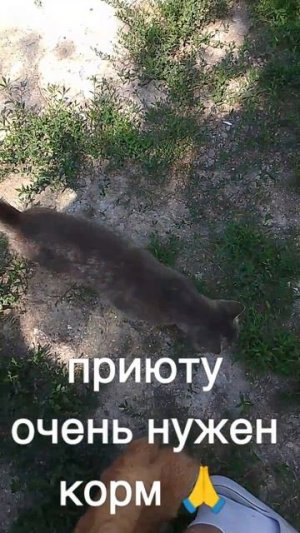 +7985 193 0027 сбер элплат