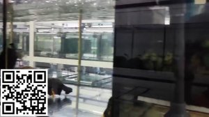 Peces Exóticos y Acuarios Impresionantes en Pzes Alcorcón Tienda de Acuariofilia