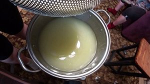 Рецепт сыра сулугуни