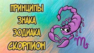 Принципы Знака Зодиака СКОРПИОН