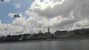 05-07-2025  Потомки птерозавров