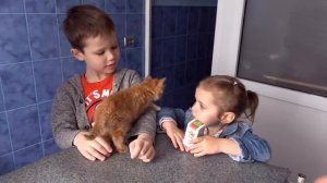 Мистер Макс • Mister Max - ВЛОГ Кошечка Мурка ведём котёнка к ветеринару в клинику для животных