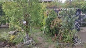 Дача. Ну ведь знали,что будет ливень,ан нет...