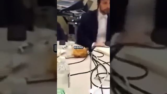 Язык Хоттабыча.