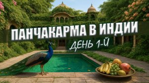 Панчакарма в Индии | День 1-й: адаптация и первые процедуры