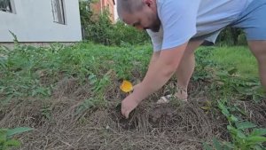 Андрей Новиков. Мы его не дождемся🤷♂️