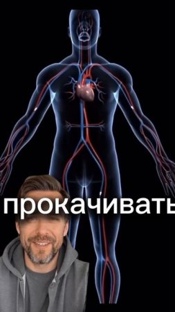А вы знали что у вас есть еще одно сердце?