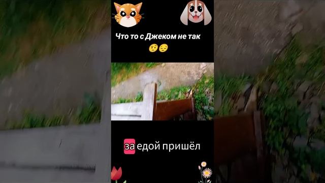 Что то с Джеком не так