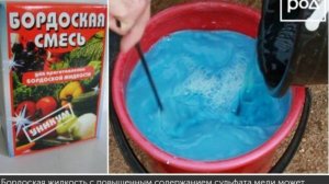 Лечим сад от монилиоза 14.03. 2025г