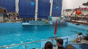 с сыном сходили в Дельфинарий🐬🐬🐬