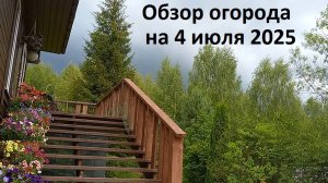Обзор сада-огорода  июль 2025.