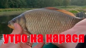 Дикие Места🔥Поклёвки Карася🔥Ловля Карася