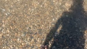 Анапа. Жара и солнце ☀️! Пляж Высокий Берег. Много людей! 5 июля 2025. 12.00
