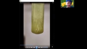 Желтые вещества 2 Неметаллы