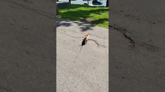 Веселый пацан 😁