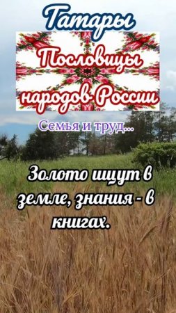 Пословицы