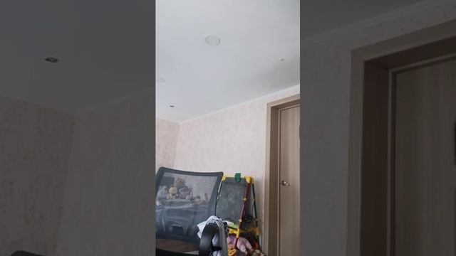 Вы зайки