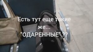 Для голодного дачника 500 км - не крюк)) 🤣 И - Я ТЕПЕРЬ НА РУТУБ!!