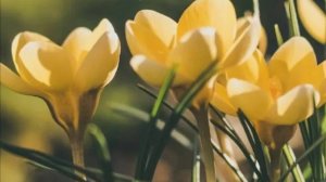 Доброго Вам Дня! ☕ НОВИНКА