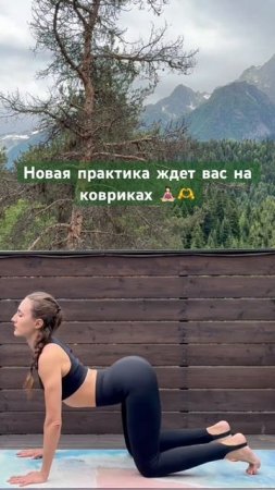 #йогадляначинающих #здороваяспина #растяжка #yoga #yogainspiration #yogapractice #йога #йогадляспины