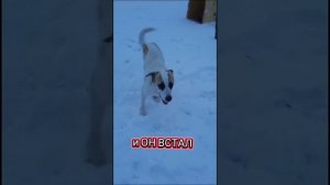 Шерлок. Его история это история победы