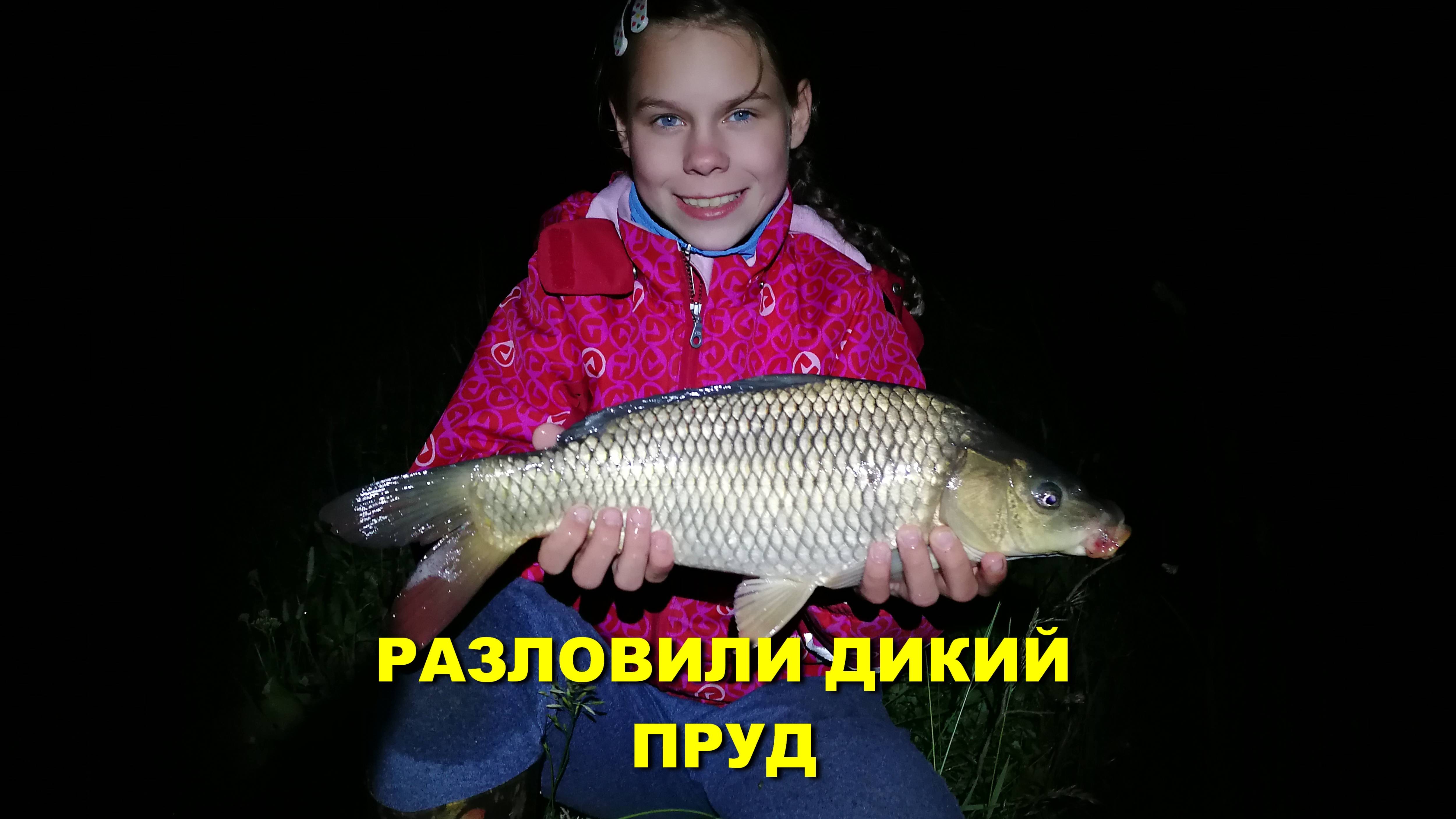 РЫБАЛКА  на КАРПА! Разловили новый пруд!
